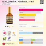 عطر ادکلن رز زیلینسکی و روزن - Rose, Jasmine, Narcissus, Musk Zielinski & Rozen - بررسی، قیمت و خرید
