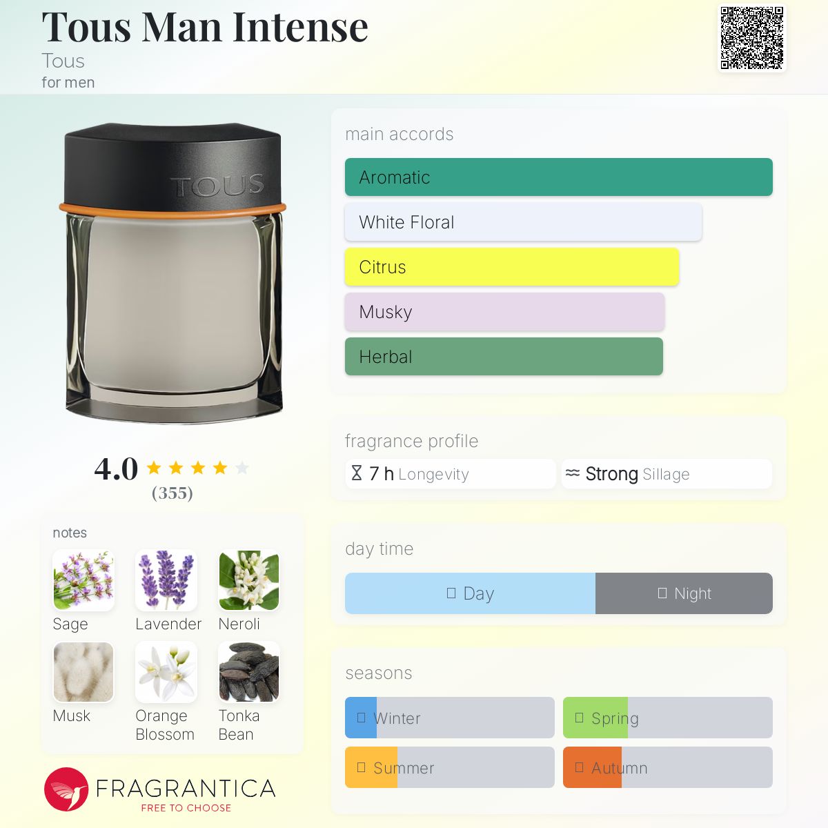 عطر ادکلن توس من اینتنس توس - Tous Man Intense Tous - بررسی، قیمت و خرید