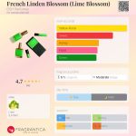 عطر ادکلن فرنچ لیندن بلوسوم دی اس اچ پرفیومز - French Linden Blossom (Lime Blossom) DSH Perfumes - بررسی، قیمت و خرید
