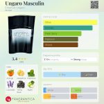 عطر ادکلن انگارو ماسکولین اِمانوئل اونگارو - Ungaro Masculin Emanuel Ungaro - بررسی، قیمت و خرید