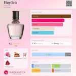 عطر ادکلن هیدن هالیستر - Hayden Hollister - بررسی، قیمت و خرید