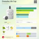 عطر ادکلن دومین دو کپ هروه گمبز پاریس - Domaine du Cap Herve Gambs Paris - بررسی، قیمت و خرید