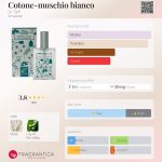 عطر ادکلن کاتونه-موشیو بیانکو دکتر تافی - Cotone-muschio bianco Dr. Taffi - بررسی، قیمت و خرید