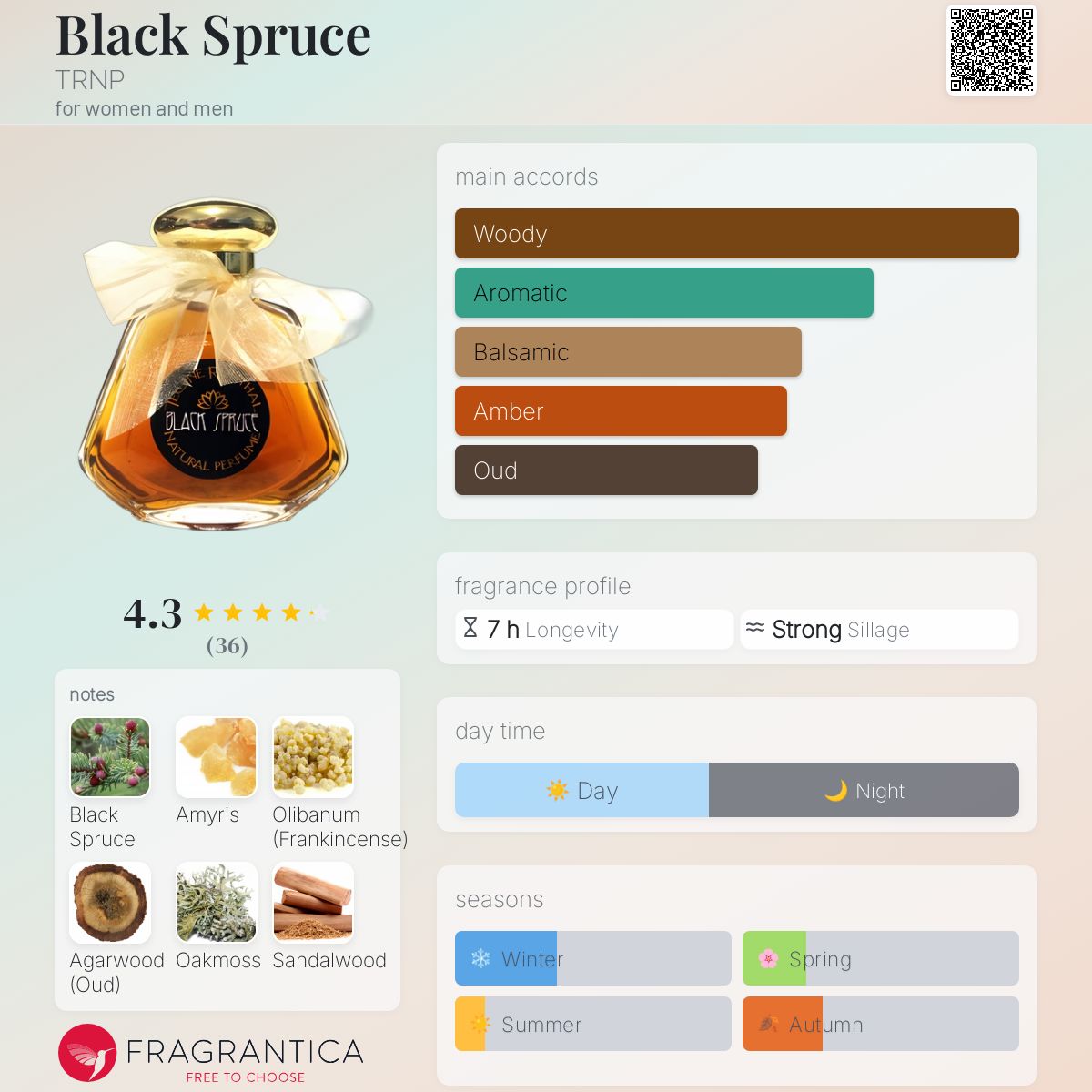 عطر ادکلن بلک اسپروس ترنپ - Black Spruce TRNP - بررسی، قیمت و خرید
