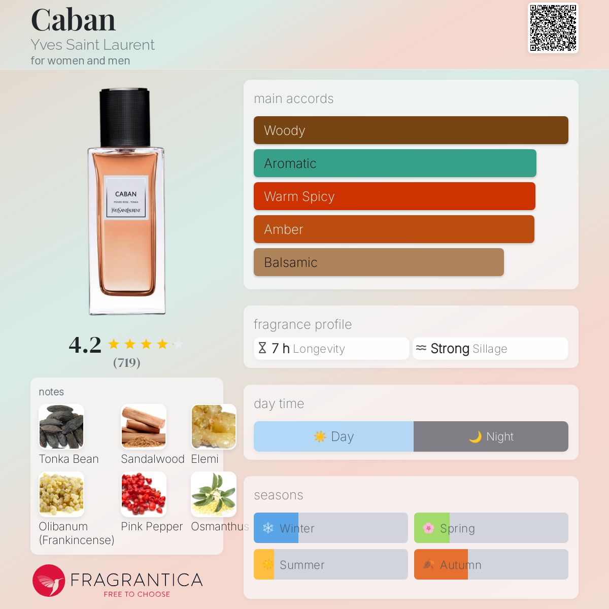 عطر ادکلن کابان ایو سن لورن - Caban Yves Saint Laurent - بررسی، قیمت و خرید