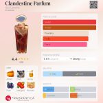 عطر ادکلن کلندستین پارفوم گی لاروش - Clandestine Parfum Guy Laroche - بررسی، قیمت و خرید