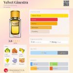 عطر ادکلن ولوت جینسترا دولچه گابانا - Velvet Ginestra Dolce&Gabbana - بررسی، قیمت و خرید