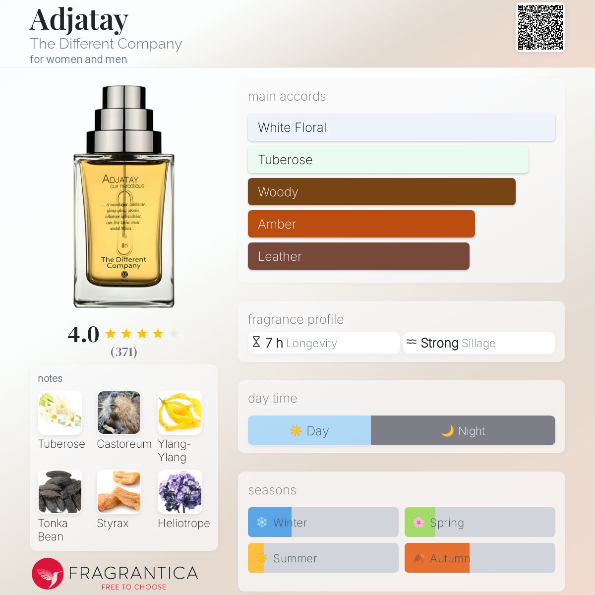 عطر ادکلن آجاتای د دیفرنت کامپنی - Adjatay The Different Company - بررسی، قیمت و خرید