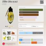 عطر ادکلن ژیلیت دزینتارس - Zilite (Желудь) Dzintars - بررسی، قیمت و خرید