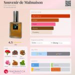 عطر ادکلن سوونیر د مالمزون دی‌اس‌اچ پرفیومز - Souvenir de Malmaison DSH Perfumes - بررسی، قیمت و خرید