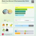 عطر ادکلن بلاک سی بریز دام پریرودی - Black Sea Breeze (Chernomorskiy Briz) Dom Prirody - بررسی، قیمت و خرید