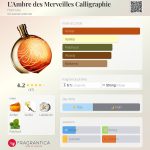 عطر ادکلن لمبر دِ مِغوَی کالـیگـرافی اِرمِس - L'Ambre des Merveilles Calligraphie Hermès - بررسی، قیمت و خرید