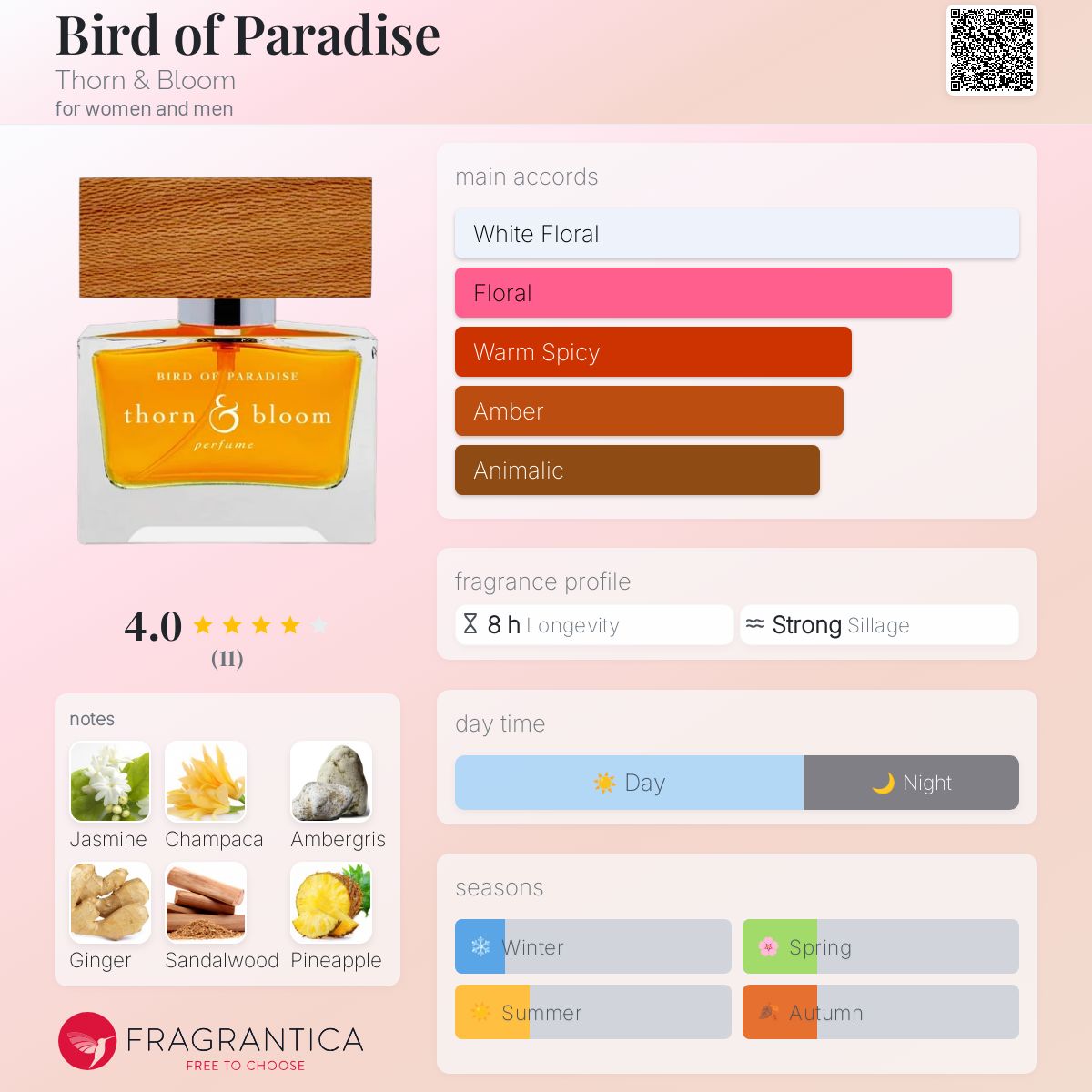 عطر ادکلن برد آو پارادایس ثورن اند بلوم - Bird of Paradise Thorn & Bloom - بررسی، قیمت و خرید