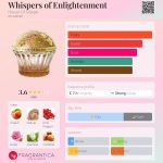 عطر ادکلن ویسپرز آو اینلایتنمنت هاوس آف سیلاج - Whispers of Enlightenment House Of Sillage - بررسی، قیمت و خرید