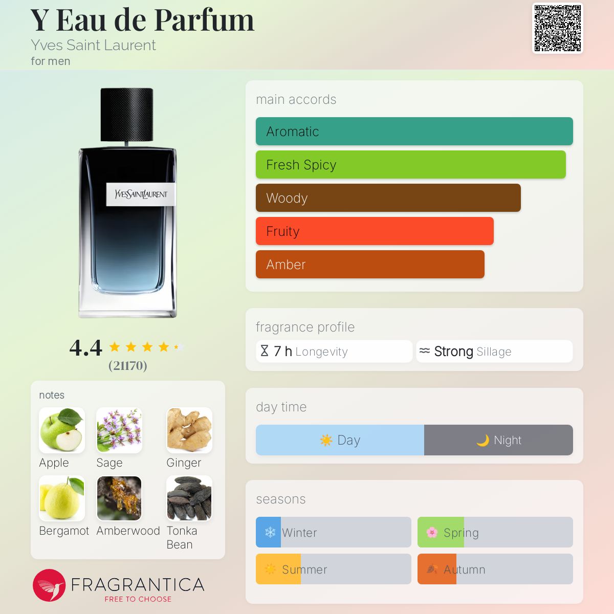 عطر ادکلن وای او دو پرفیوم ایو سن لورن - Y Eau de Parfum Yves Saint Laurent - بررسی، قیمت و خرید