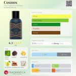 عطر ادکلن کازموس ذ فرگرنس کیچن - Cosmos The Fragrance Kitchen - بررسی، قیمت و خرید