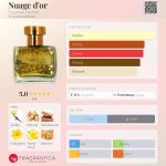 عطر ادکلن نواژ دور اسکیس پرفیوم - Nuage d'or Esquisse Parfum - بررسی، قیمت و خرید