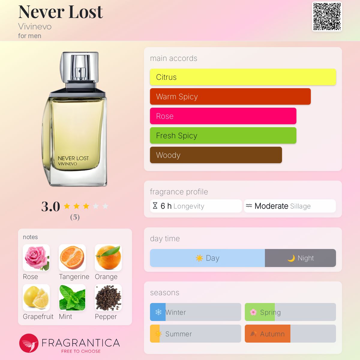 عطر ادکلن نور لاست ویوینو - Never Lost Vivinevo - بررسی، قیمت و خرید