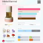 عطر ادکلن اودتا دزینتارس - Odeta (Одетта) Dzintars - بررسی، قیمت و خرید