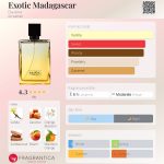عطر ادکلن اگزاتیک ماداگاسکار داوین - Exotic Madagascar Davene - بررسی، قیمت و خرید