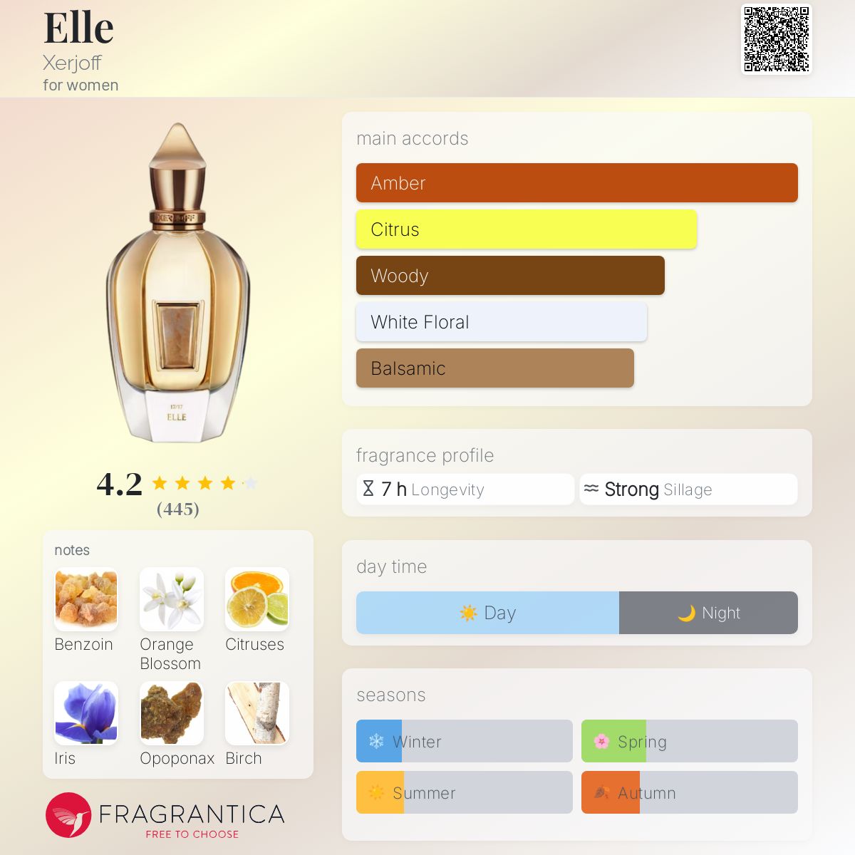 عطر ادکلن ال زرجوف - Elle Xerjoff - بررسی، قیمت و خرید