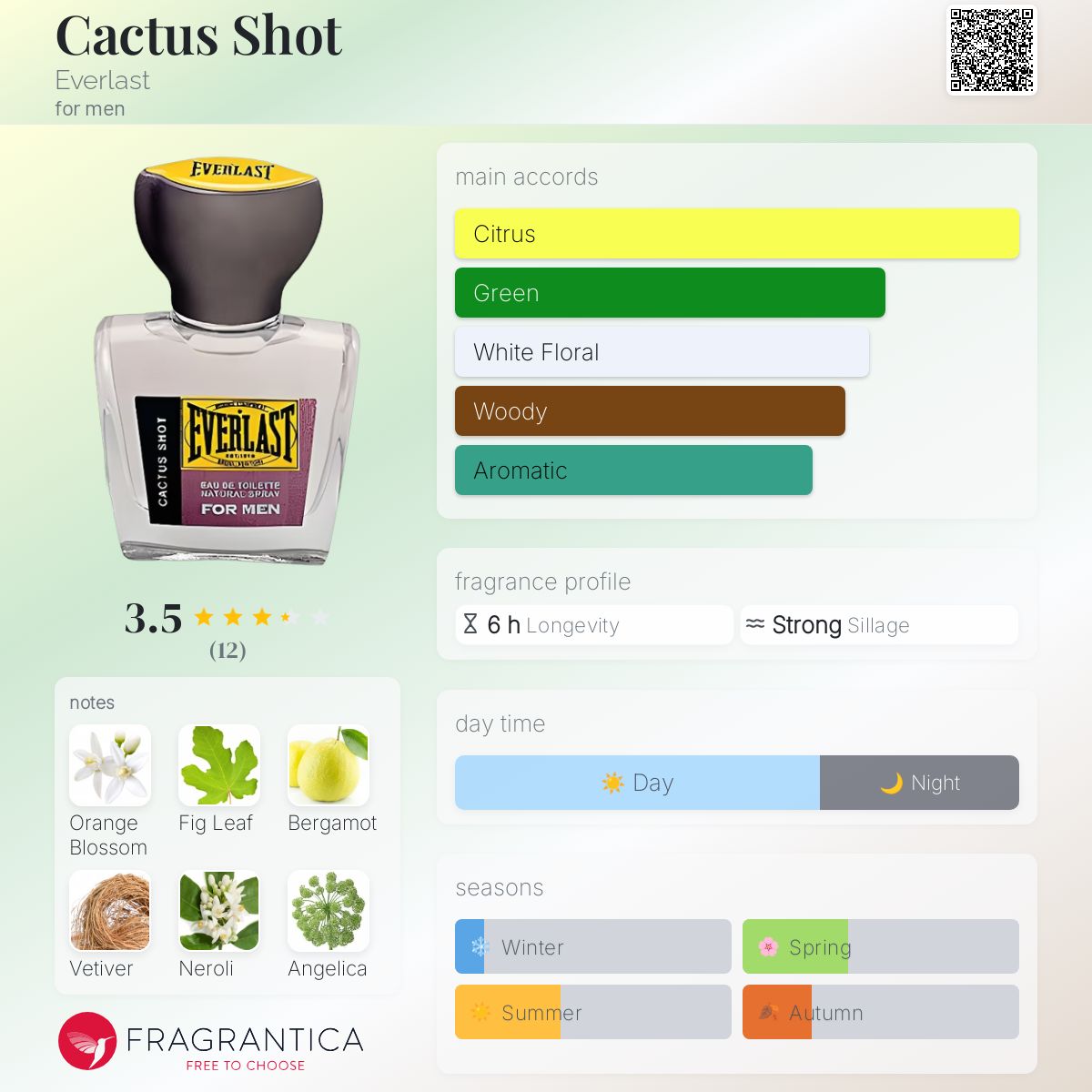 عطر ادکلن کاکتوس شات اِوِرلاست - Cactus Shot Everlast - بررسی، قیمت و خرید