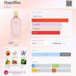 عطر ادکلن مگنیفیکا فرلا - Magnifica Furla - بررسی، قیمت و خرید