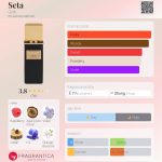 عطر ادکلن سِتا گریتی - Seta Gritti - بررسی، قیمت و خرید