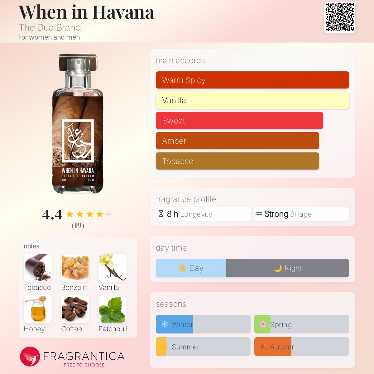عطر ادکلن ون این هاوانا دوآ برند - When in Havana The Dua Brand - بررسی، قیمت و خرید