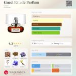 عطر ادکلن گوچی او دو پرفیوم گوچی - Gucci Eau de Parfum Gucci - بررسی، قیمت و خرید
