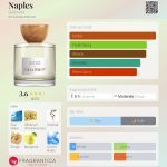 عطر ادکلن ناپل گلی‌ونت - Naples Gallivant - بررسی، قیمت و خرید