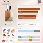 عطر ادکلن تیینا فرگمنس بای ان وی سی - Thyina Fragments by NVC - بررسی، قیمت و خرید