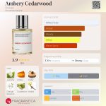 عطر ادکلن آمبری سیدروود دوسیه - Ambery Cedarwood Dossier - بررسی، قیمت و خرید