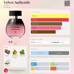 عطر ادکلن ولوت آثنتیک یودورا - Velvet Authentic Eudora - بررسی، قیمت و خرید