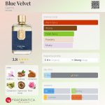عطر ادکلن بلو ولوت گِما - Blue Velvet Ggema - بررسی، قیمت و خرید