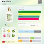 عطر ادکلن گاردنیا گرانادو - Gardênia Granado - بررسی، قیمت و خرید