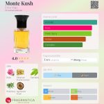 عطر ادکلن مونته کوش اکسترا ویرگو - Monte Kush Extra Virgo - بررسی، قیمت و خرید