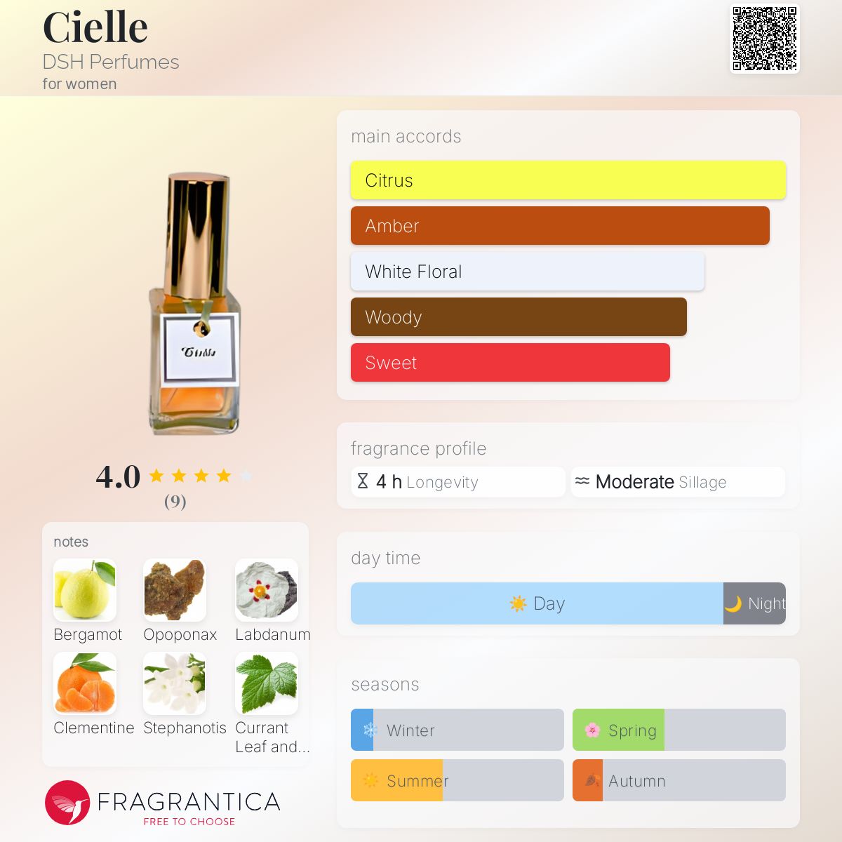 عطر ادکلن سیل دی اس اچ پرفیومز - Cielle DSH Perfumes - بررسی، قیمت و خرید