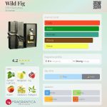 عطر ادکلن وایلد فیگ دی‌اس‌اچ پرفیومز - Wild Fig DSH Perfumes - بررسی، قیمت و خرید