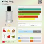 عطر ادکلن گوینگ بنگ امیلی الیزه - Going Bang Emil Elise - بررسی، قیمت و خرید