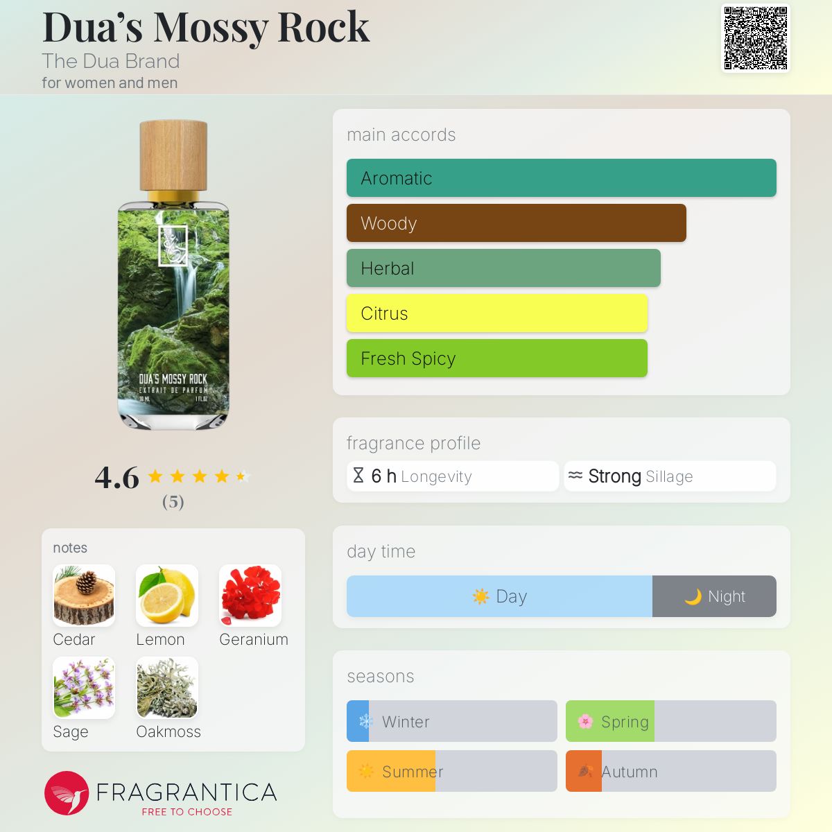 عطر ادکلن دوآز ماسّی راک د دوا برند - Dua’s Mossy Rock The Dua Brand - بررسی، قیمت و خرید