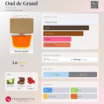 عطر ادکلن اود د گرند فیل عود - Oud de Grand Feel Oud - بررسی، قیمت و خرید