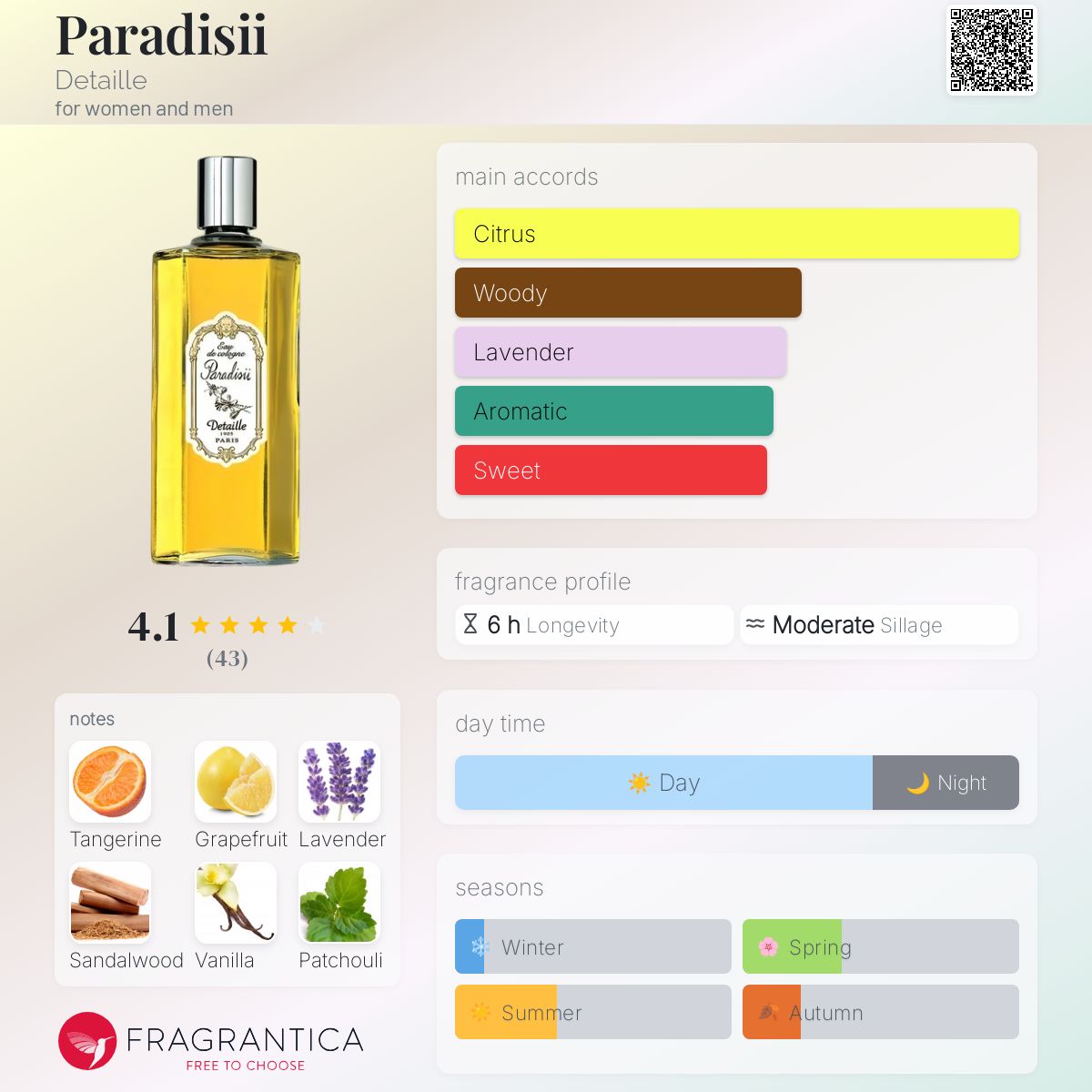 عطر ادکلن پردیسی دی‌تِیل - Paradisii Detaille - بررسی، قیمت و خرید