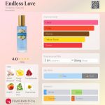 عطر ادکلن اندلس لاو ویکتوریا سیکرت - Endless Love Victoria's Secret - بررسی، قیمت و خرید