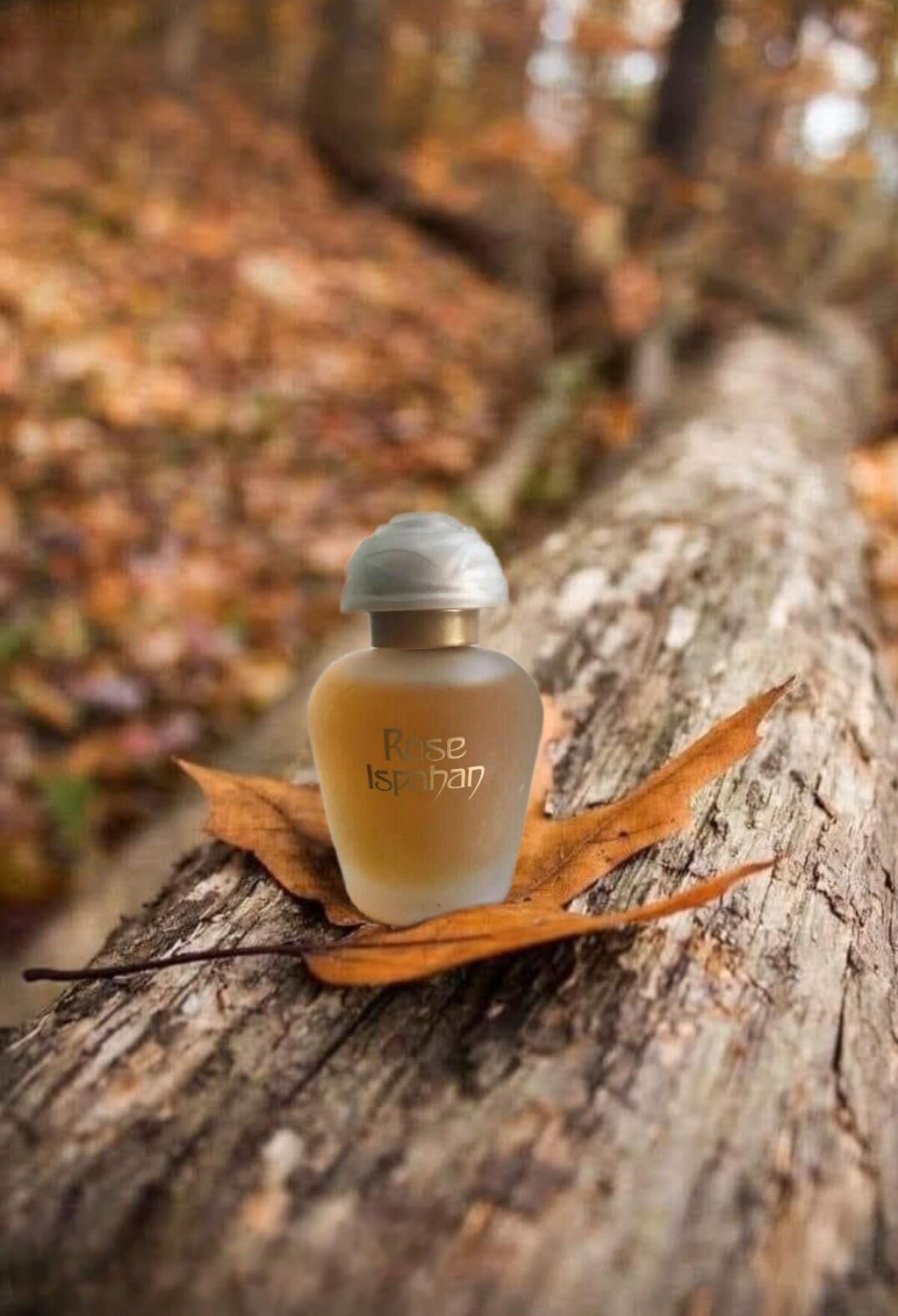 عطر ادکلن رز اصفهان ایوز روشه - Rose Ispahan Yves Rocher - بررسی، قیمت و خرید