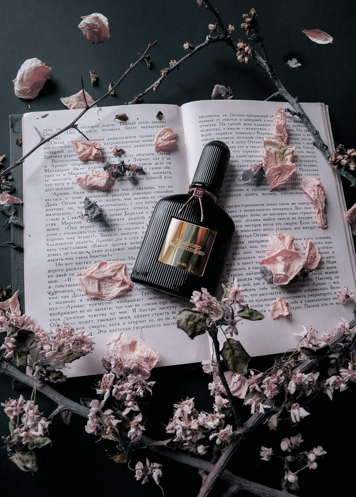 عطر ادکلن بِلَک اُرکید تام فورد - Black Orchid Tom Ford - بررسی، قیمت و خرید