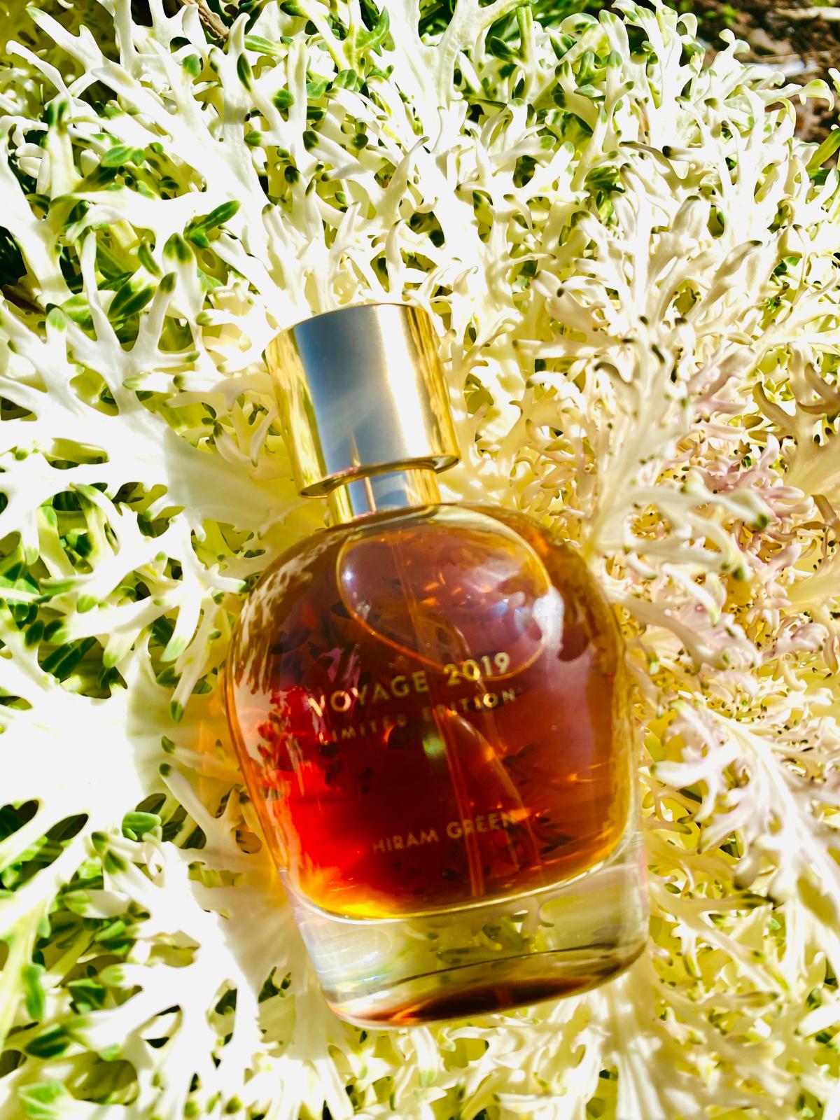 عطر ادکلن وویاژ ۲۰۱۹ هایِرام گرین - Voyage 2019 Hiram Green - بررسی، قیمت و خرید