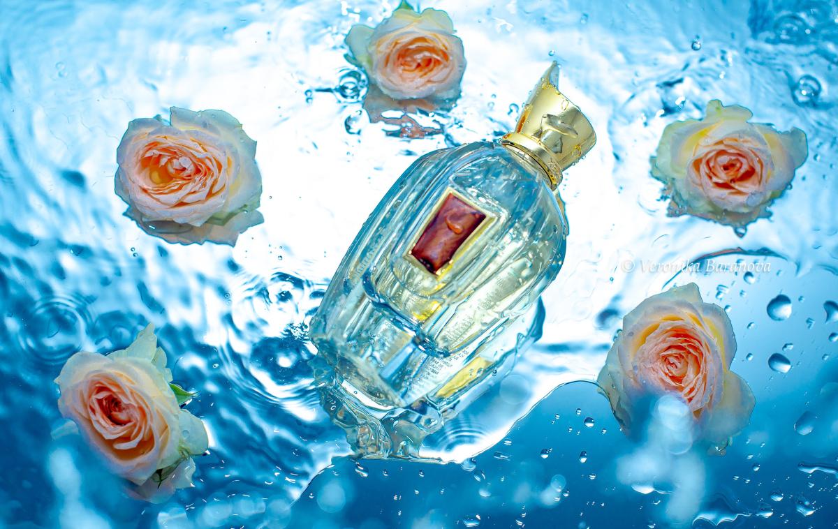 عطر ادکلن داماروس زرژاف - Damarose Xerjoff - بررسی، قیمت و خرید