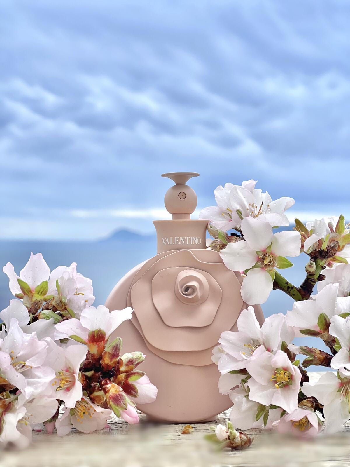 عطر ادکلن والنتینا پودره ولنتینو - Valentina Poudre Valentino - بررسی، قیمت و خرید