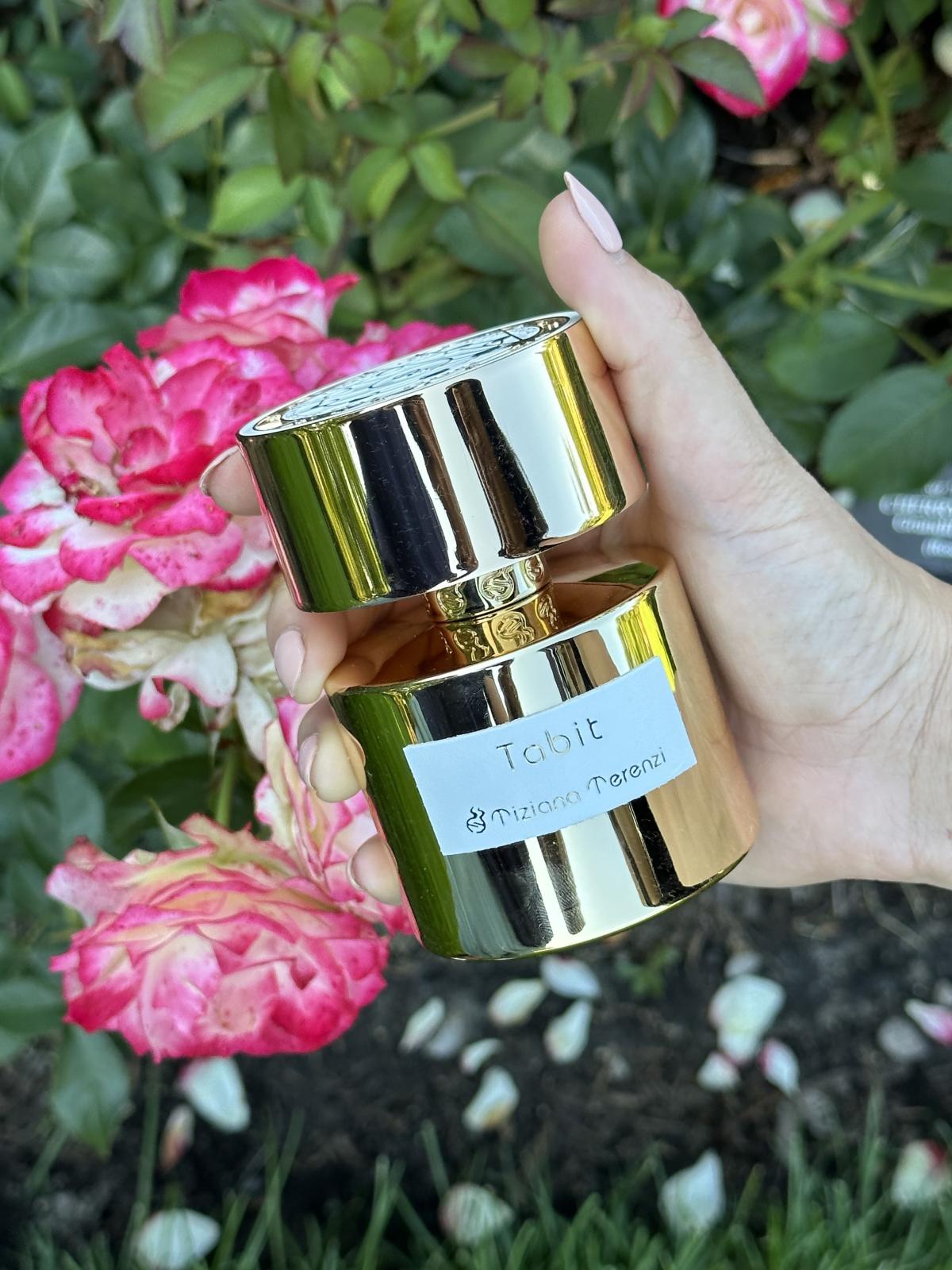 عطر ادکلن تابیت تیزیانا ترنزی - Tabit Tiziana Terenzi - بررسی، قیمت و خرید
